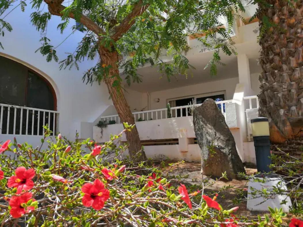 Comfortable Cleo Apartment With Large Terrace Коста-Тегисе Экстерьер фото